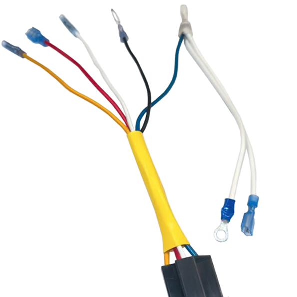 Relay with Socket & Harness